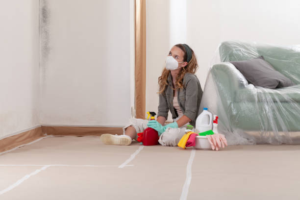 Reliable Mold Removal contractor in Ashland, OR by WQB Mold Removal